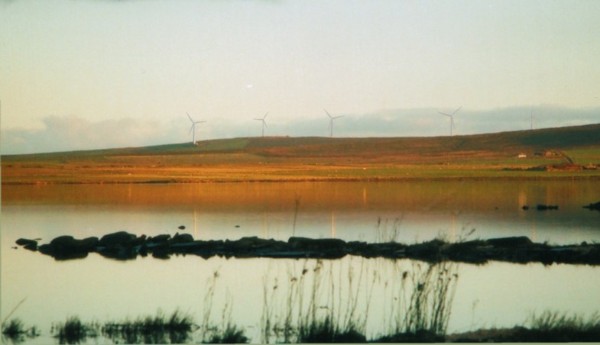 Image taken using a Werra IV with a Carl Zeiss Tessar lense Image taken using a Werra IV with a Carl Zeiss Tessar lense